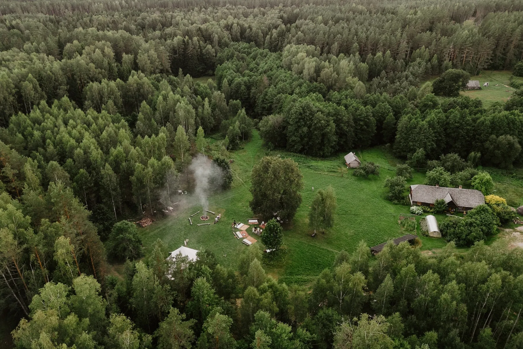 Antaviešė vidury Labanoro girios