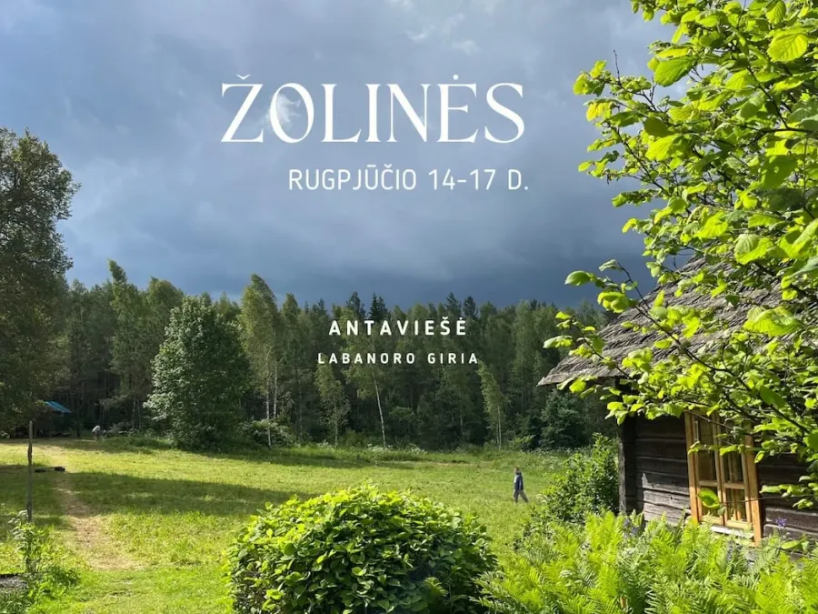 Žolinės 2025 Labas Noras poster